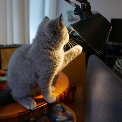 Foto Melissa_Tolomeo