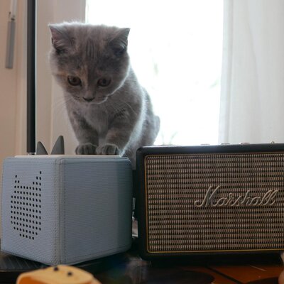 Foto Melissa_exploring